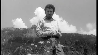 Grandsupertingltangl (13/14)