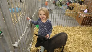 Prekvapivo zaujímavý svet kôz