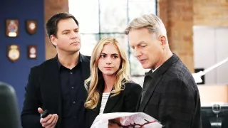 NCIS - Námorný vyšetrovací úrad XI (15)