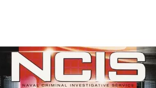 NCIS - Námorný vyšetrovací úrad XI (19)