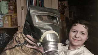 Zvieratá vo vojne (2/2)