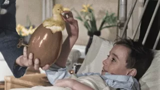 Zvieratá vo vojne (2/2)