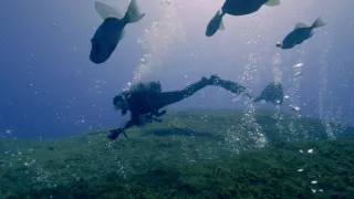 Planéta Zem - živý organizmus (1/2)