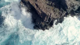 Planéta Zem - živý organizmus (1/2)