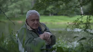 David Attenborough a živé svetlo