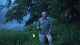 David Attenborough a živé svetlo