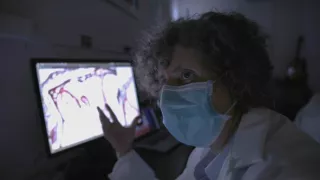 Neuveriteľné schopnosti netopierov