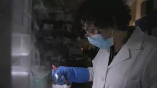 Neuveriteľné schopnosti netopierov