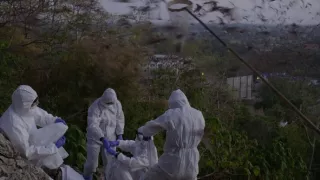 Neuveriteľné schopnosti netopierov