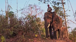 Mjanmarsko, krajina pagod