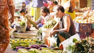Mjanmarsko, krajina pagod