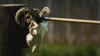 Najzaujímavejšie divy staroveku (2/10)