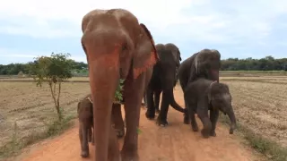 Kamera na cestách: Isan, pravá tvár Thajska