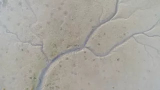 Moremi, kráľovstvo hrochov