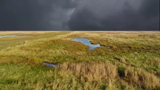Moremi, kráľovstvo hrochov