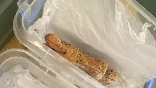 Egypt: Pohrebisko posvätných býkov