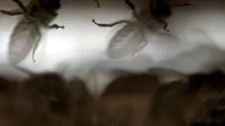 Všetko dobre dopadne