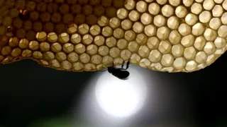 Všetko dobre dopadne