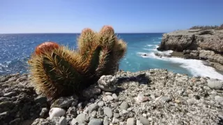 Kuba, všetky farby Havany