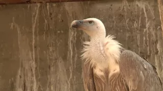 Na cestě po Zlatiboru