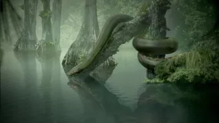 Titanoboa: Megahad minulosti (1/2)