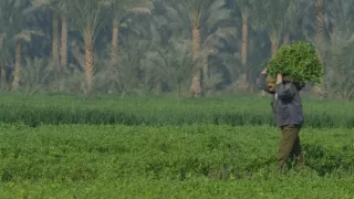 Kapitoly z dejín písma (1/2)