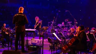 Metallica: S&M2