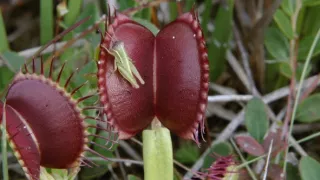 Príroda - úžasný zdroj inšpirácie (1/3)