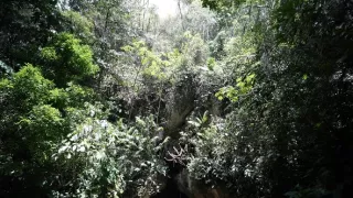 Pád mayských kráľov