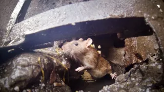 Za mrežami: V najdrsnejších väzniciach sveta (2/6)