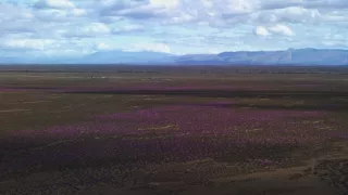 Afrikou letom svetom (4/6)