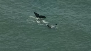 Afrikou letom svetom (4/6)