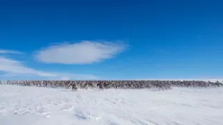 Zrodení počas búrky (1)