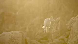 Narodení v Skalnatých horách (1/2)