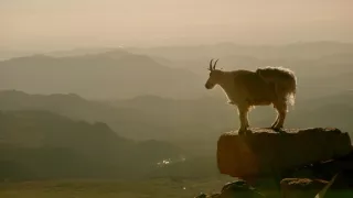 Narodení v Skalnatých horách (1/2)