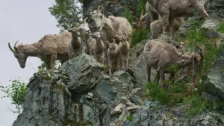 Narodení v Skalnatých horách (1/2)