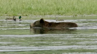 Narodení v Skalnatých horách (1/2)