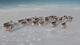 Severské krajiny z vtáčej perspektívy (1/2)