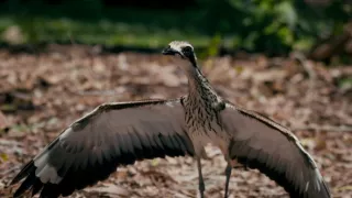 Vzťahy a putá v prírode