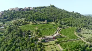 Milovníci vína (9/12)