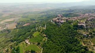 Milovníci vína (9/12)