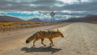 Do Čile za zatmením Slnka