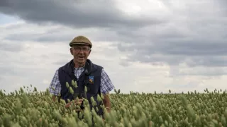 Rok v divočine (3/3)