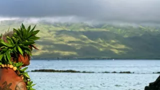 Akvárium - tienistá stránka hobby