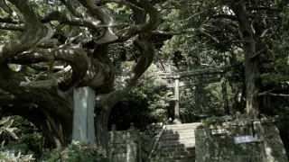 Na cestě po poloostrově Izu