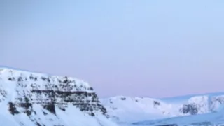 Malé psovité šelmy