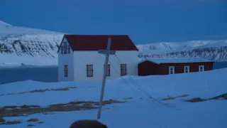 Malé psovité šelmy