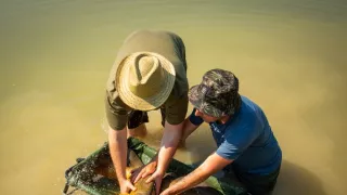 Za rybami po Česku (3/6)