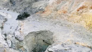 Podivuhodné přírodní úkazy (2/2)