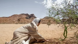 Tajomná Saudská Arábia